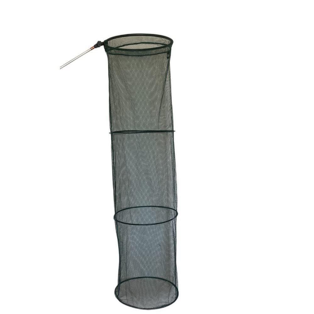 product/a/w/awq080005_1.jpg