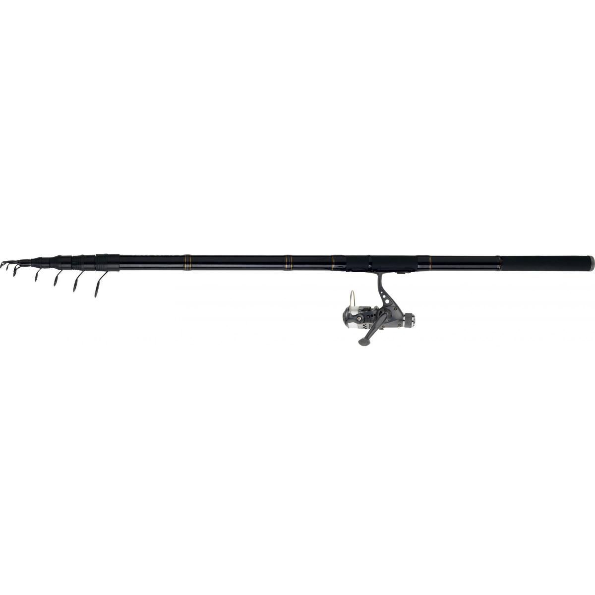 product/d/a/daiwa_sw40rpbf_noir_1.jpg
