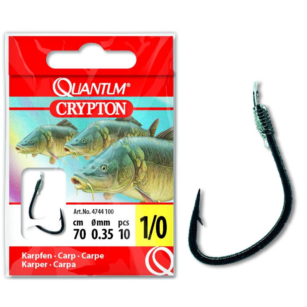 product/q/u/quantum_4744002.jpg