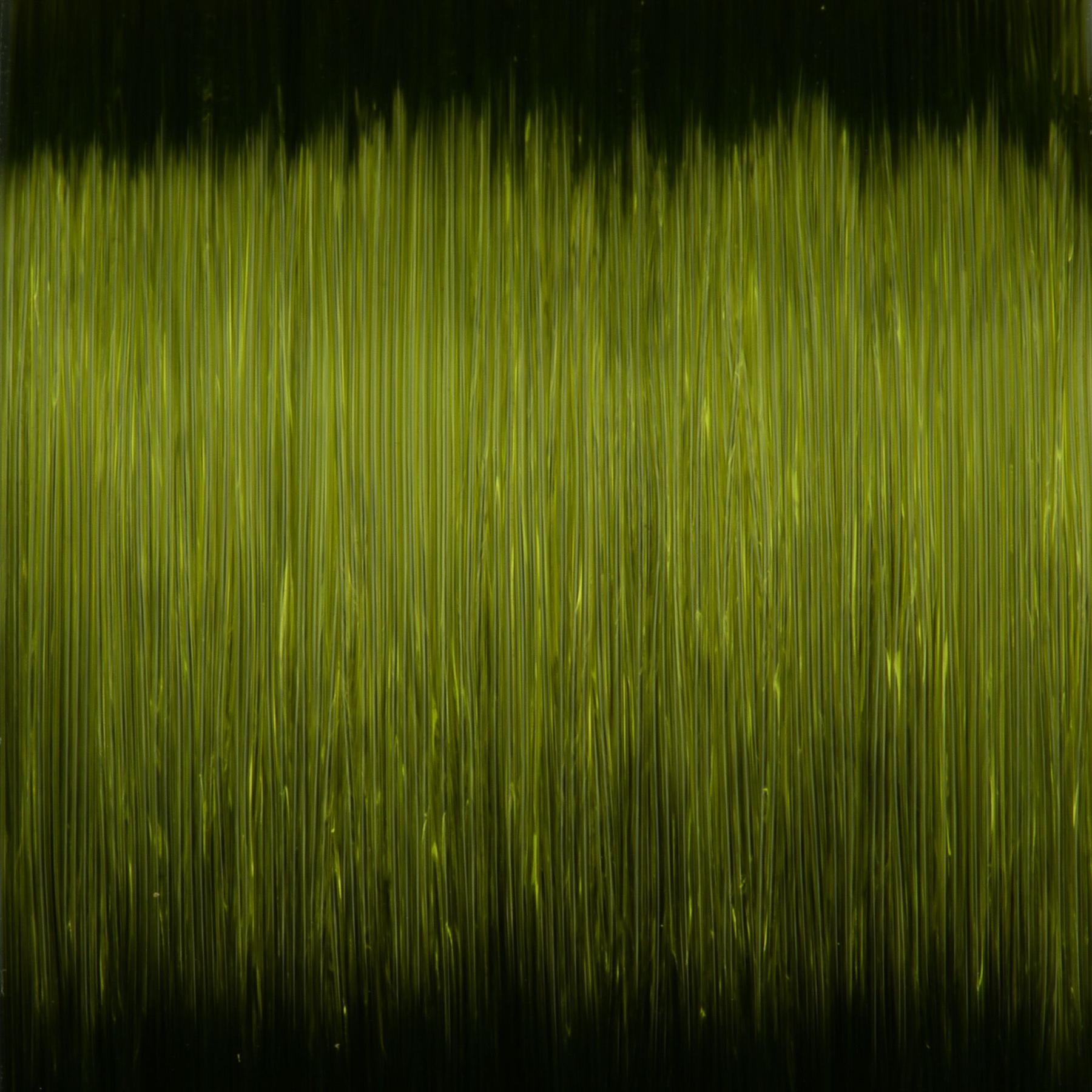 product/s/p/spro_5303-528_green_2.jpg