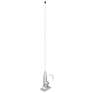 ba-32-rp-antenne-am-fm-avec-rotule-plastique-banten-argente-tu