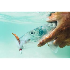 product/b/e/berkley_1115906_molting_2.jpg