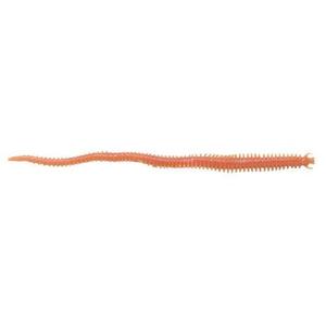 product/b/e/berkley_1130719_orange_1.jpg