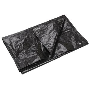 product/c/a/cat-spirit_rg6000068_noir_1.jpg