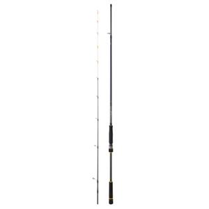 bg242haf-canne-spinning-daiwa-bg-242-h-15-80g-noir-2-40-m