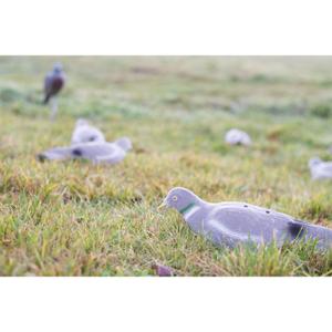 product/e/u/eurohunt_510063_violet_1.jpg