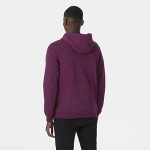 product/h/e/helly-hansen_53289-691_dark-magenta_5.jpg