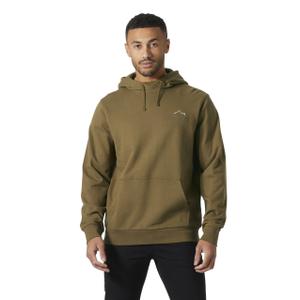 54527-718-sweatshirt-a-capuche-helly-hansen-massif-graphic-sepia