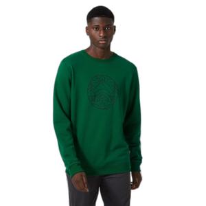 62933-486-sweatshirt-coton-helly-hansen-f2f-malachite