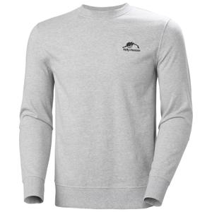 product/h/e/helly-hansen_62976-952_grey-melange_1.jpg