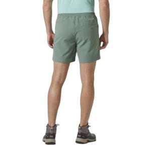 product/h/e/helly-hansen_63160-485_grey-cactus_1.jpg