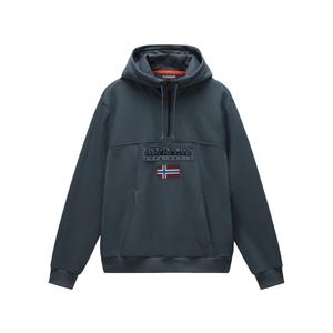 np0a4i5e-g1s-sweatshirt-a-capuche-napapijri-burgee-2-0-green-urban