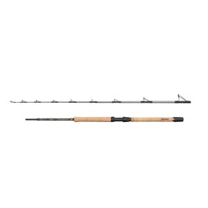1620449-canne-bateau-penn-regiment-iv-pro-12-20lb-x2-silver-2-10-m