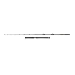 1620465-canne-spinning-penn-regiment-iv-halibuster-20-30lb-silver-2-40-m
