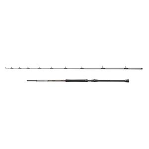 1620470-canne-bateau-penn-regiment-iv-20-30lb-silver-2-10-m