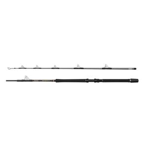 1620471-canne-bateau-penn-regiment-iv-roller-30-50lb-silver-2-m