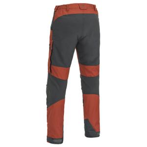 product/p/i/pinewood_1-50850-545_1.jpg