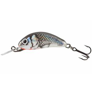 qht007-leurre-salmo-hornet-snk-1-5g-argente-bleu-rouge-2-5-cm