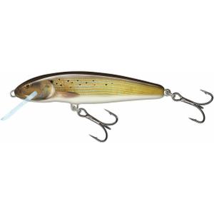 qmw151-leurre-salmo-m5f-3g-beige-noir-blanc-5-cm
