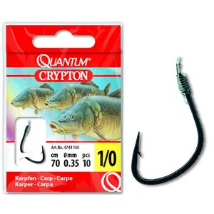 product/q/u/quantum_4744002.jpg