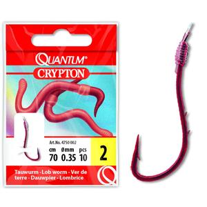 product/q/u/quantum_4750002.jpg