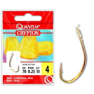 product/q/u/quantum_4751004.jpg