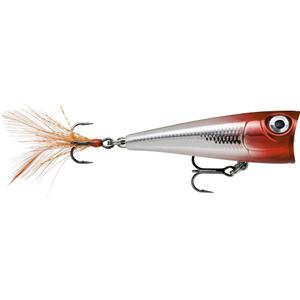 ra5824108-leurre-rapala-x-light-pop-fnp04-rh-4-cm