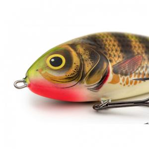 product/s/a/salmo_qfa034_holo-perch_1.jpg