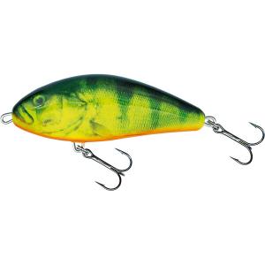 qfa062-leurre-salmo-f10f-arkansas-10-cm