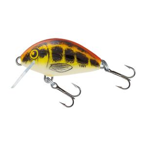 product/s/a/salmo_qit032_jaune-rouge_1.jpg