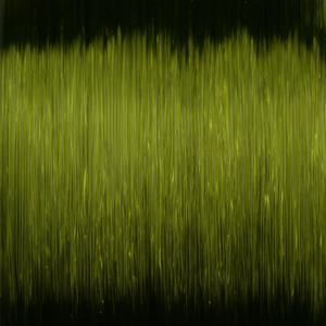 product/s/p/spro_5303-528_green_2.jpg